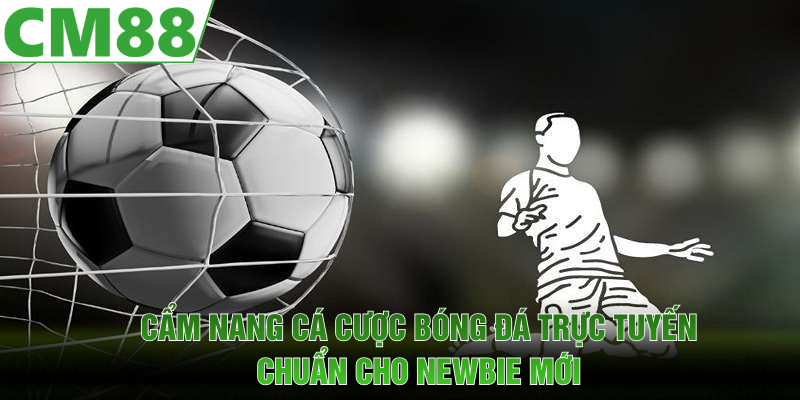 Cẩm nang cá cược bóng đá trực tuyến chuẩn cho newbie mới